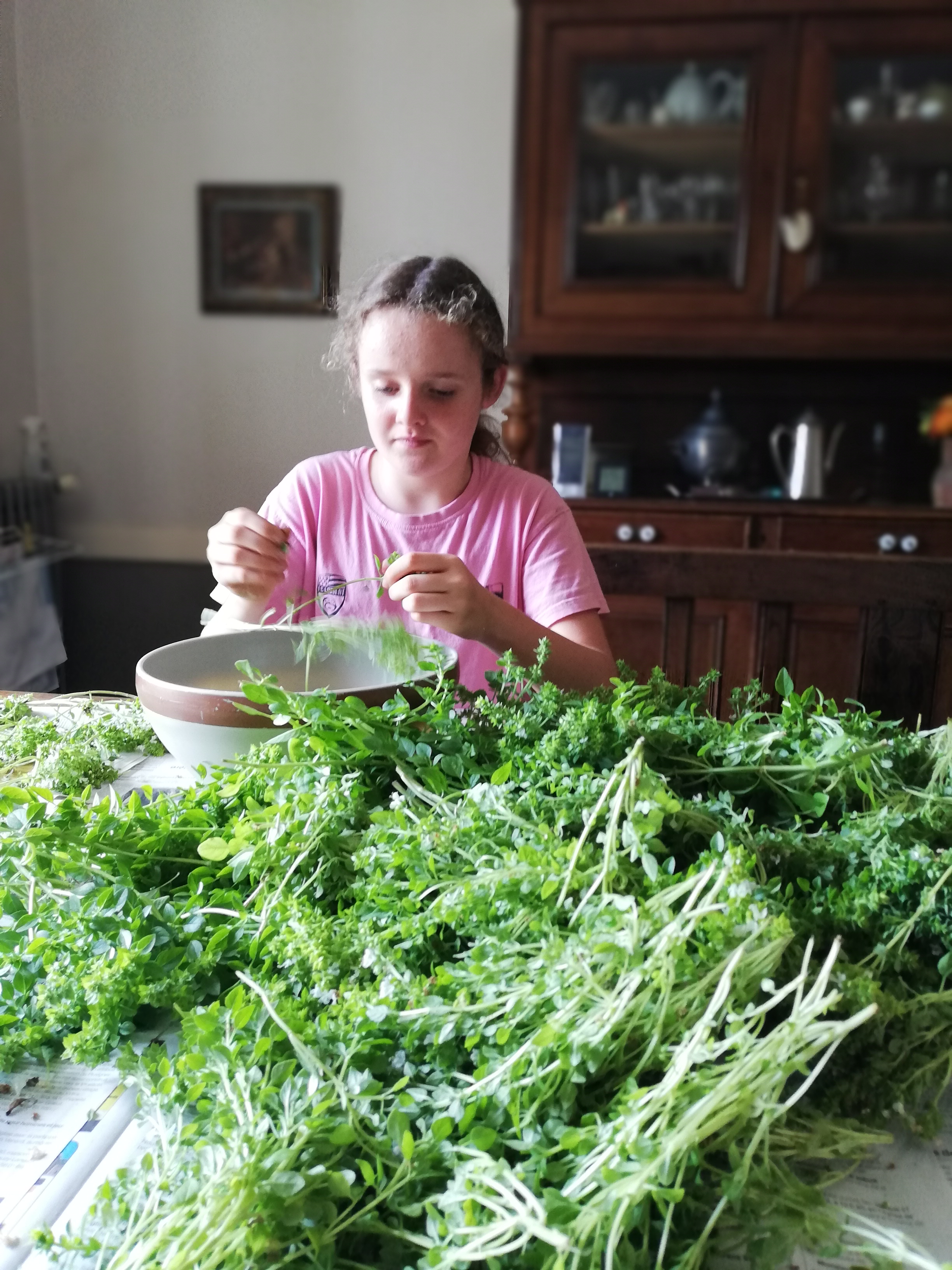 Pesto course